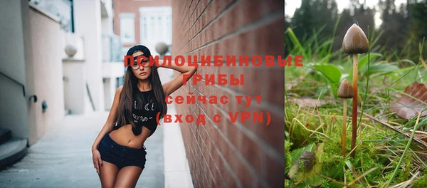 a pvp Протвино