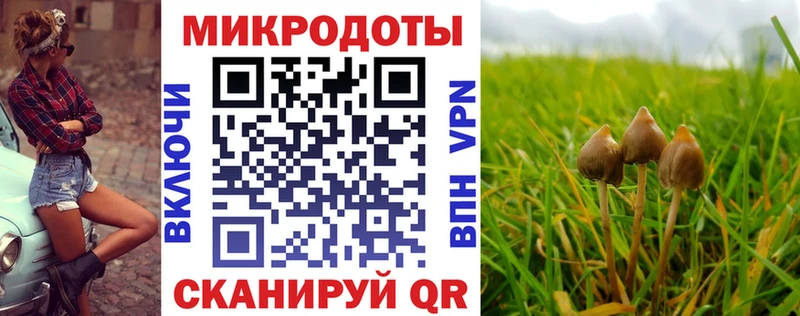Псилоцибиновые грибы мухоморы  Горбатов 